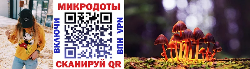 Купить где  Туран  Псилоцибиновые грибы GOLDEN TEACHER 